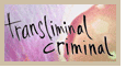 Film - Transliminal Criminal